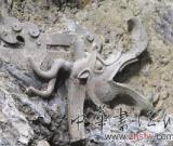 盱眙大云山汉墓已确认为诸侯王墓