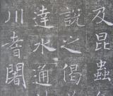 美人婵娟——《褚遂良雁塔圣教序》