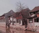 《印象枫泾》系列图书展示历史名镇风貌