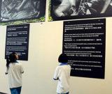 空降东方拯救盟军战俘65周年图片展海南开展