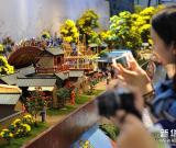 青岛：菊花“绘”就清明上河图 组图