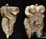 德国发现3.5万年前用象牙雕刻的裸体女人像