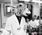 立法禁止荒诞“行为艺术”？ 上海将调研管理制度